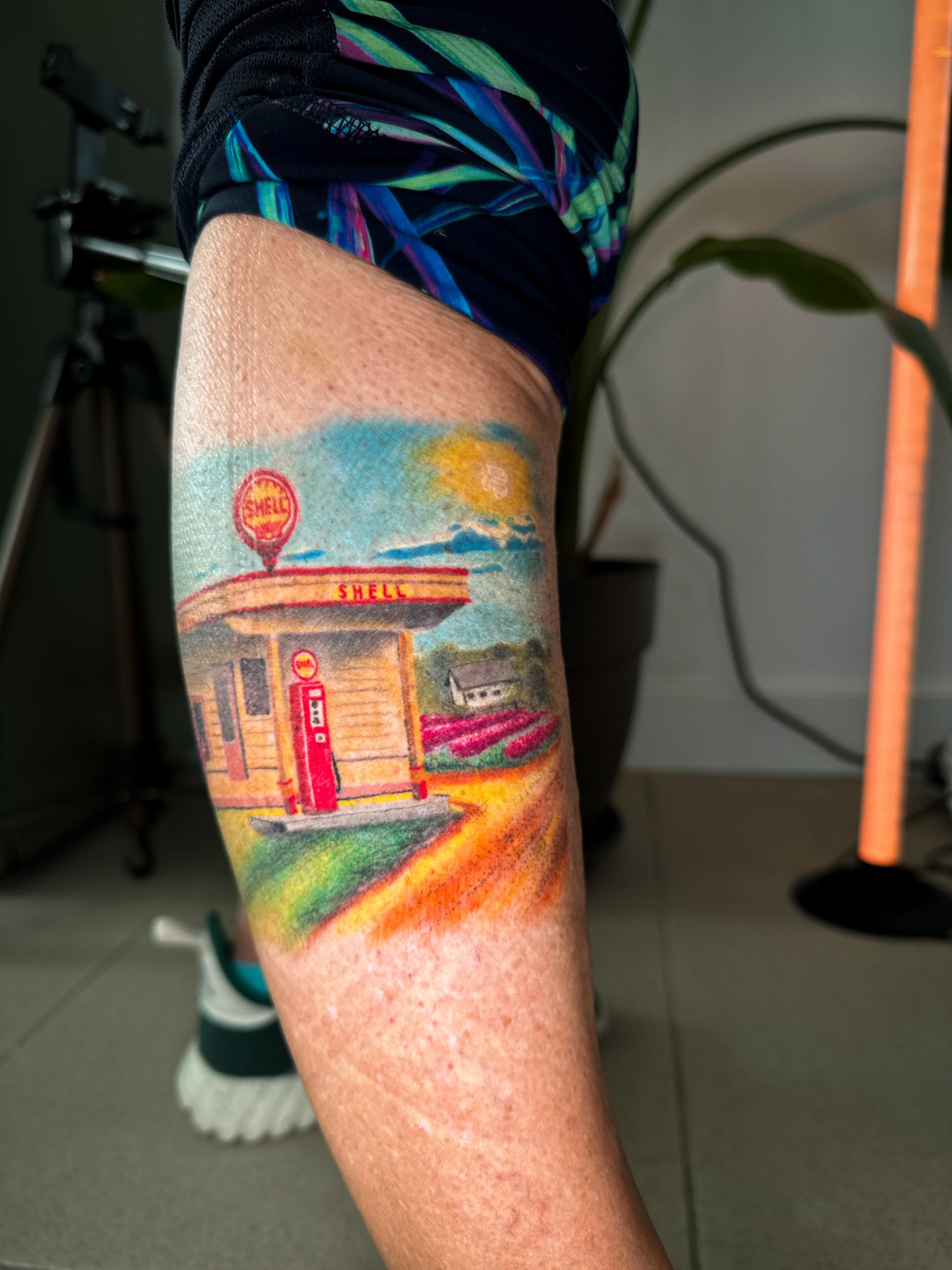 Colour tattoo portfolio piece at Titans Legacy Ink